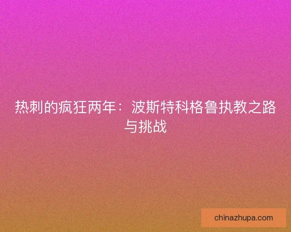 热刺的疯狂两年：波斯特科格鲁执教之路与挑战