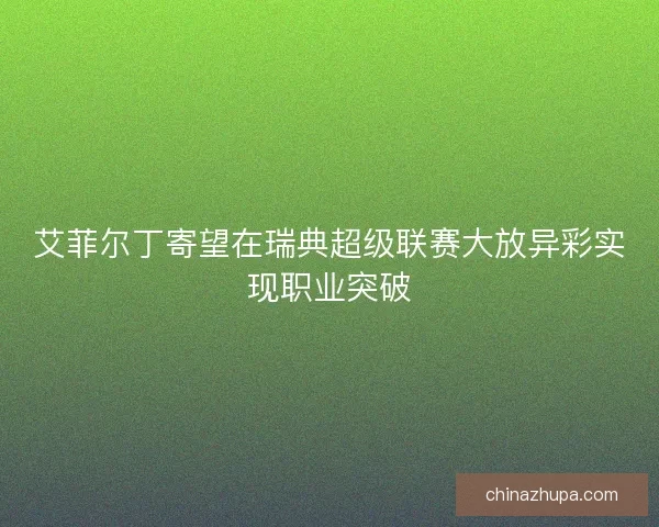 艾菲尔丁寄望在瑞典超级联赛大放异彩实现职业突破
